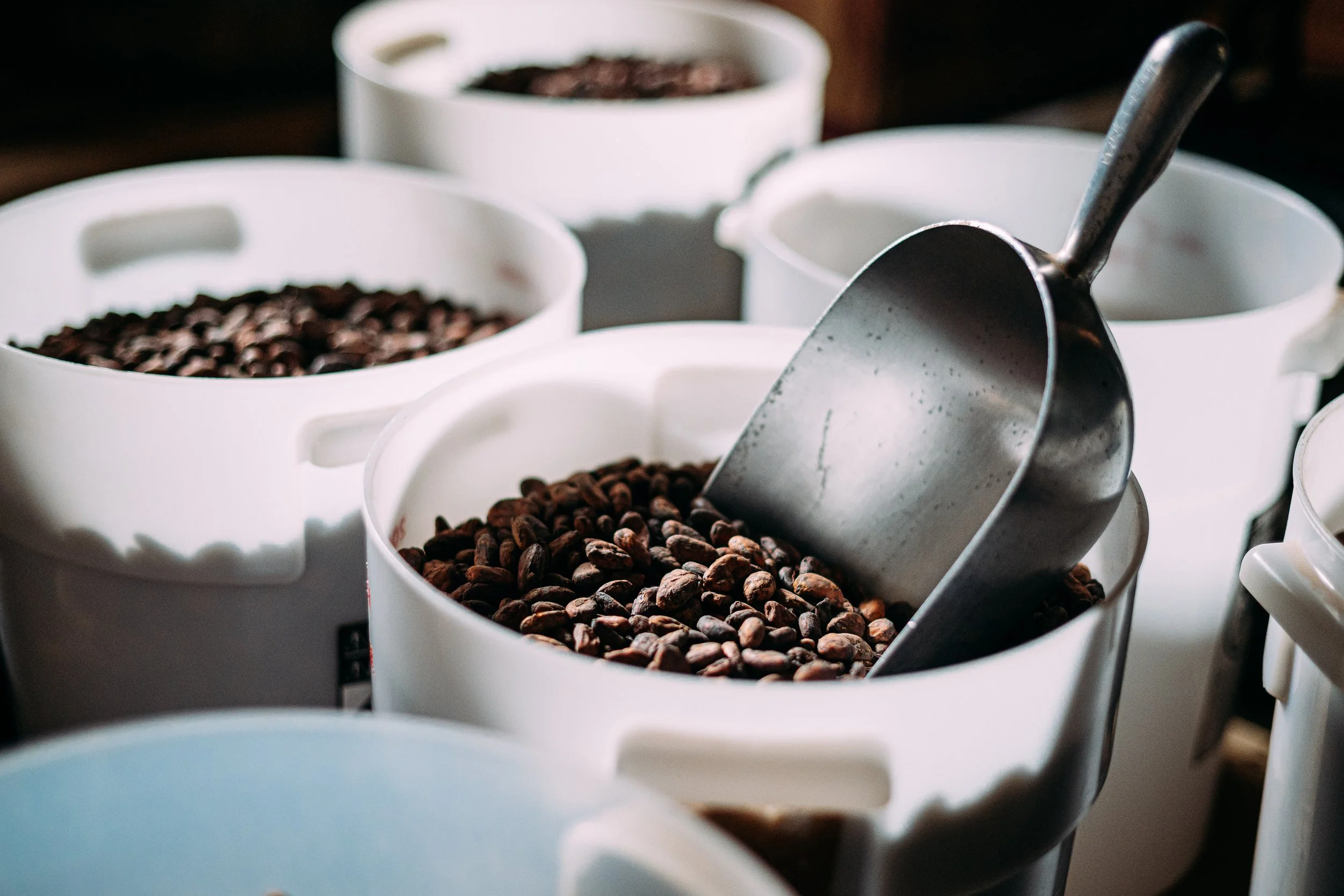 How It's Made — Olive & Sinclair Chocolate Co. | Southern Artisan